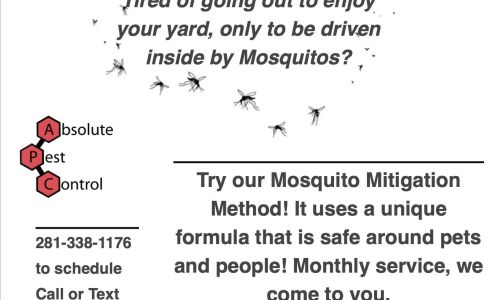 AAA Absolute Pest Control