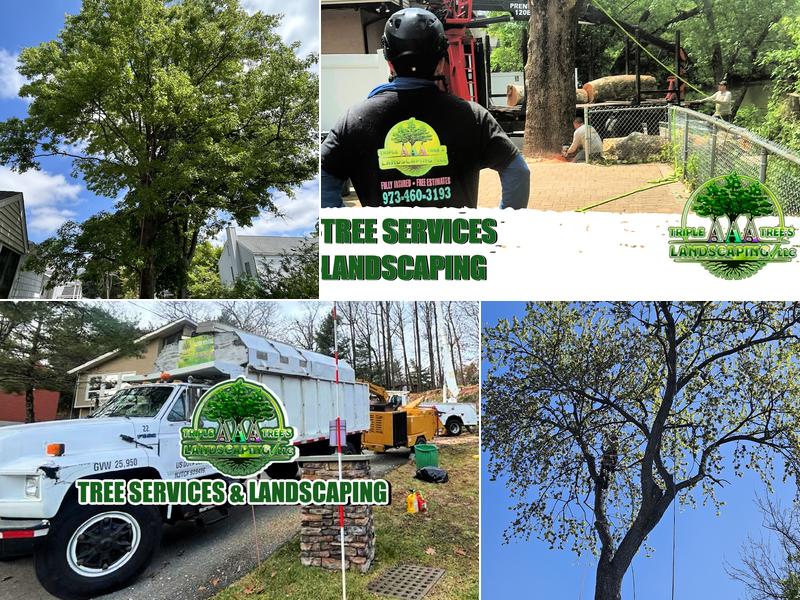 Triple AAA Tree Landscaping LLC