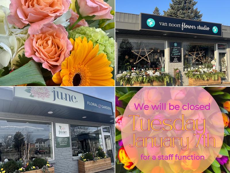 June Floral & Garden