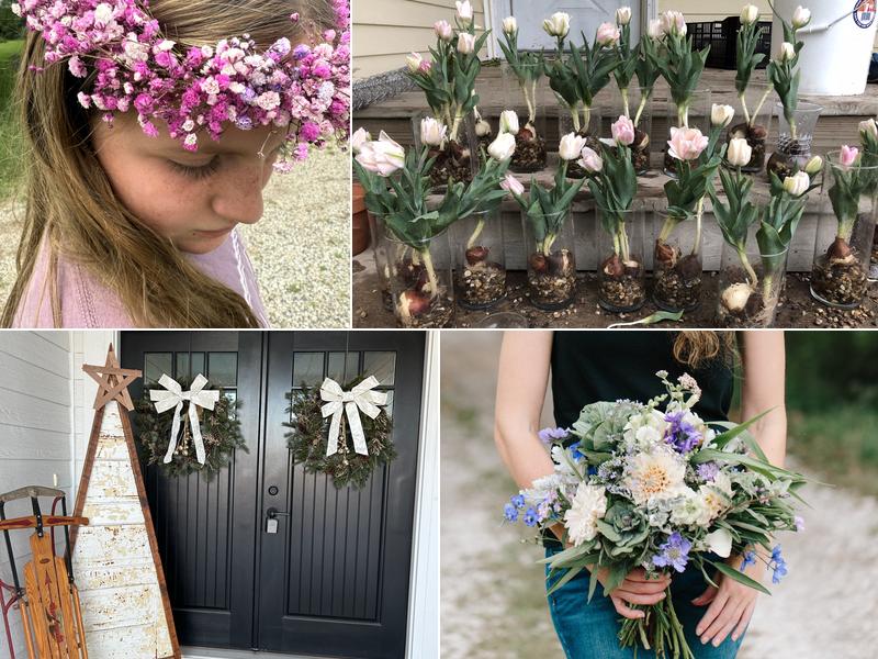 Maple Ridge Flower Farm