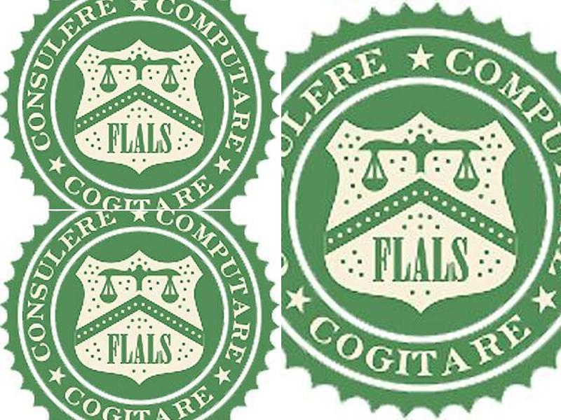 Florida Accounting & Litigation Services