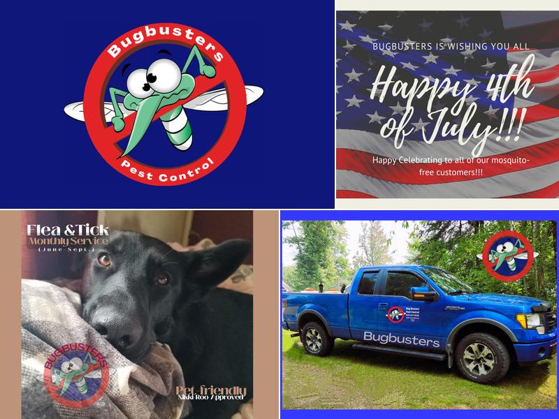 Bug Busters of Michigan