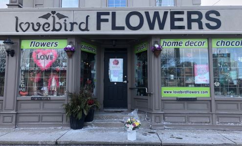 Lovebird Flowers Inc