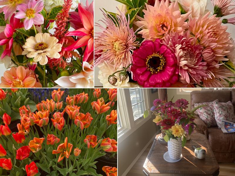 Opal Blooms Urban Flower Farm & Design Studio