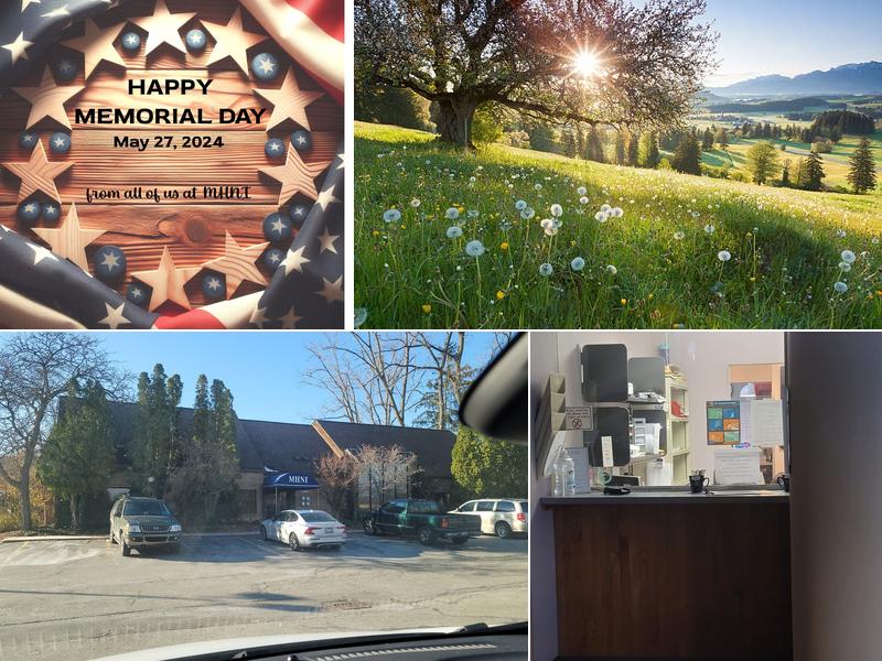 Michigan Headache & Neurological Institute