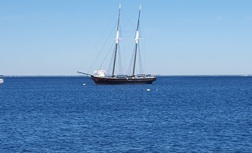 Shell Vineyard Haven