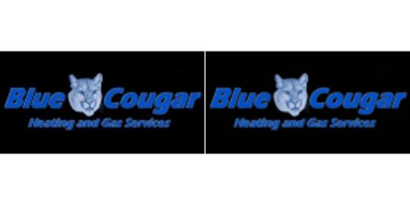 Blue Cougar Heating and Gas - TSBC No. LGA0202297