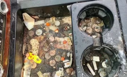 Twan's touch professional Detail Shop & Car audio