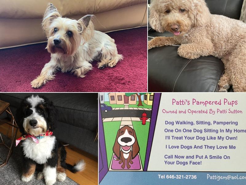 Patti's Pampered Pups
