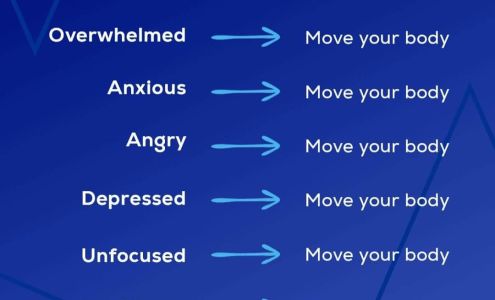 The Pilates Workshop