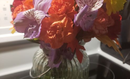 Flower Garden-Manchester 128 E Main St, Manchester Michigan 48158