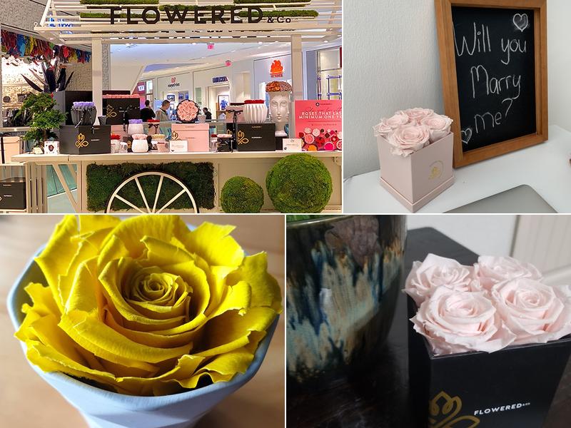 Flowered & Co.