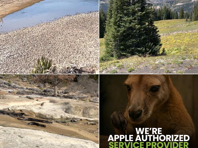 Mobile Kangaroo - Apple Authorized Service Provider