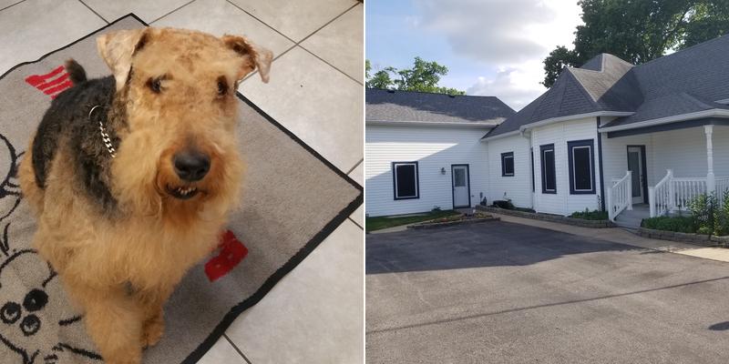 Whistle Stop Bath Bed & Biscuit