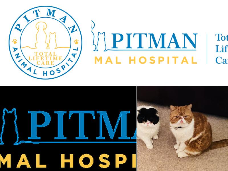 Pitman Animal Hospital: Kaufman Geraldine DVM