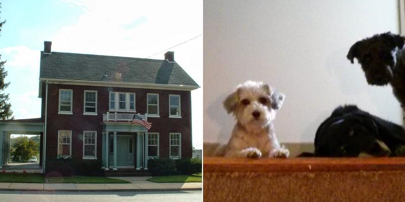 Mc Guigan Keith CPA CFP