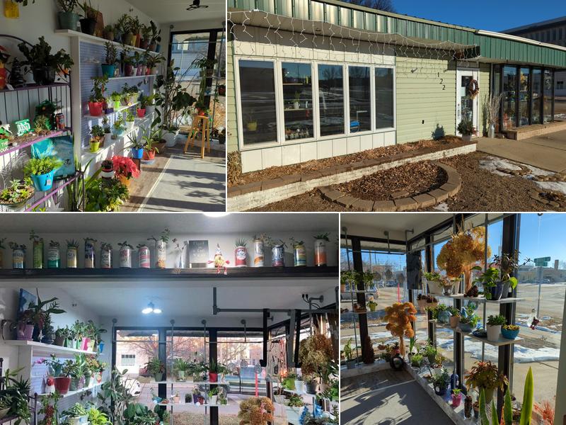 The Shop (Strohs House Of Plants)