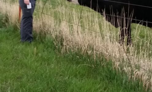 Weber Enterprises 17 Cozad Rd, Wheatland Wyoming 82201