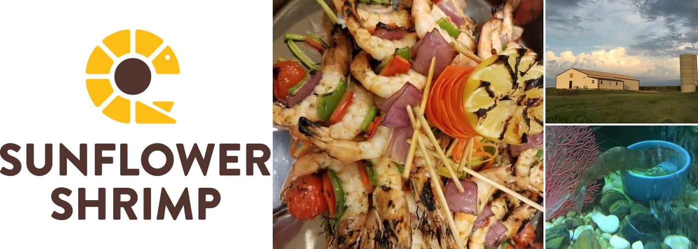 Sunflower Shrimp