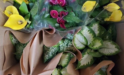 Spiritwood Flowers 'N More by Brenda 100 Main St, Spiritwood Saskatchewan S0J 2M0