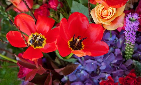 Indianapolis School of Flower Design