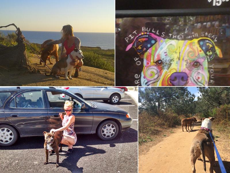 Leah's Pretty Pups & Company