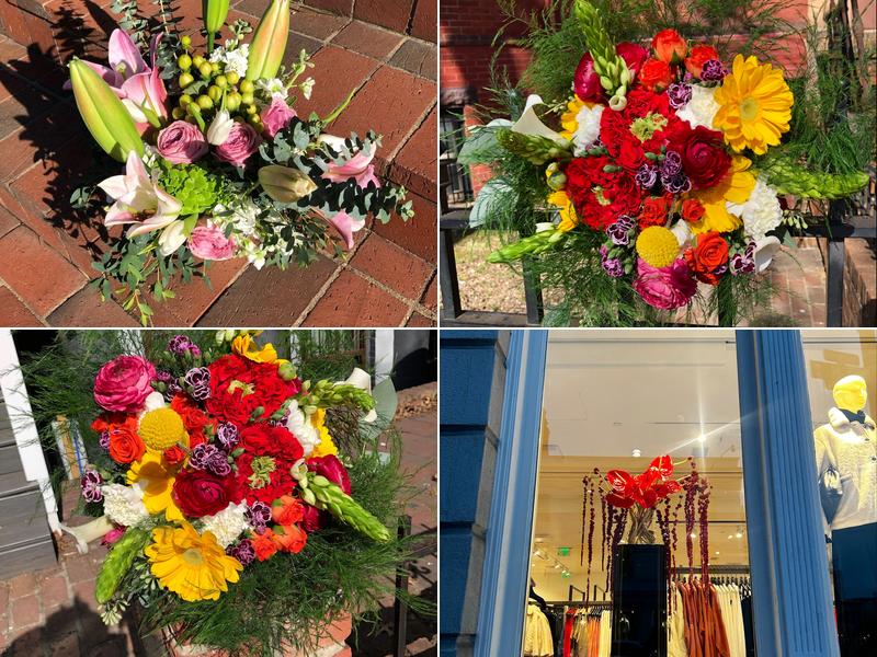 Spice Studio & Design - Flowers & Plants