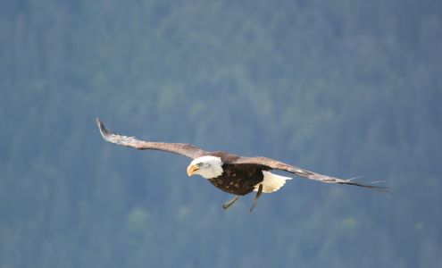 Eagle Retirement Plans, Inc.