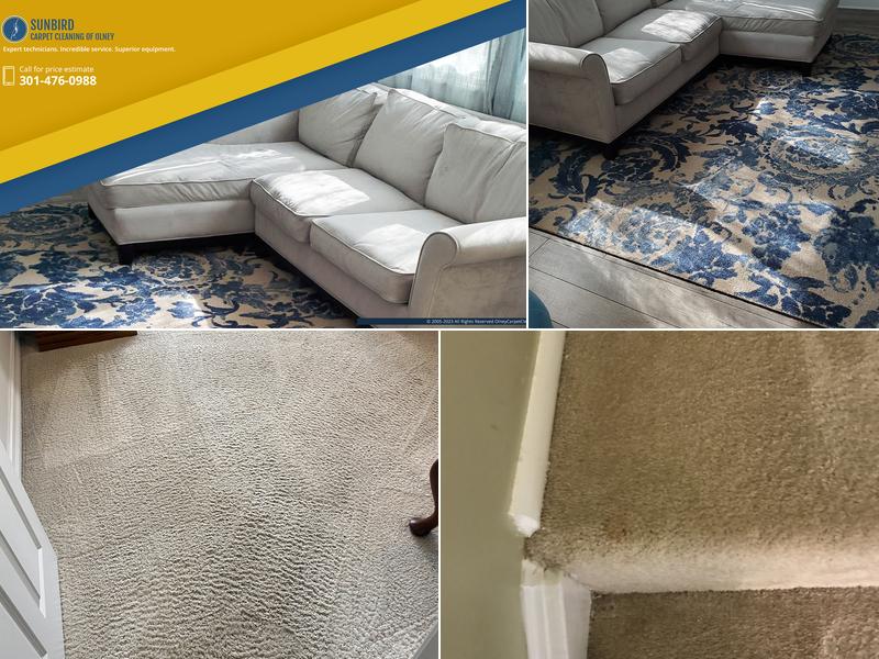 Sunbird Carpet Cleaning of Olney