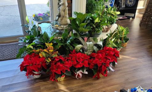 Oak 'N Ivy Flowers & Gifts 198 S Winter St, Russellville Kentucky 42276