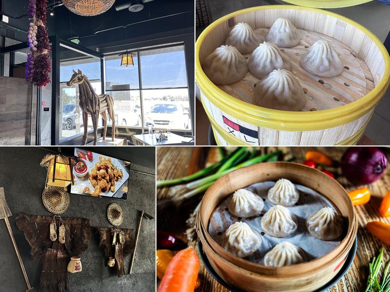 Nana's Dim Sum & Dumplings 2495 S Havana St unit f, Aurora