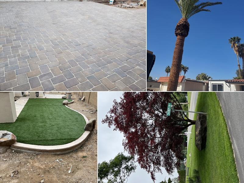 William irrigation system