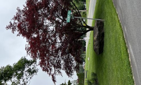 William irrigation system