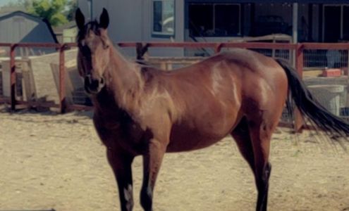 Leon's Repair & Fix It Shop