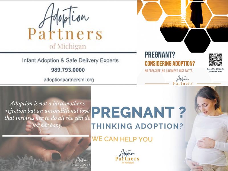 Adoption Partners of Michigan