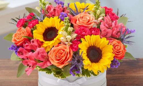 Paradise Flower shop