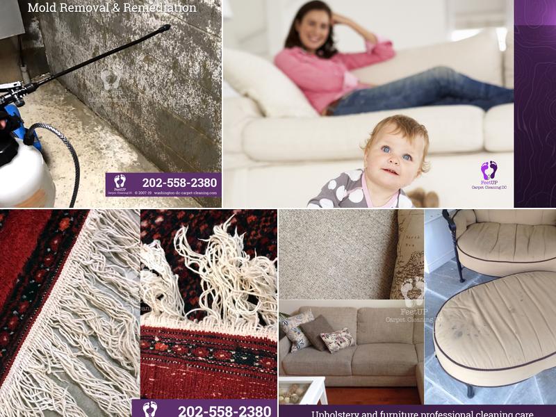 Feet Up Carpet Cleaning DC