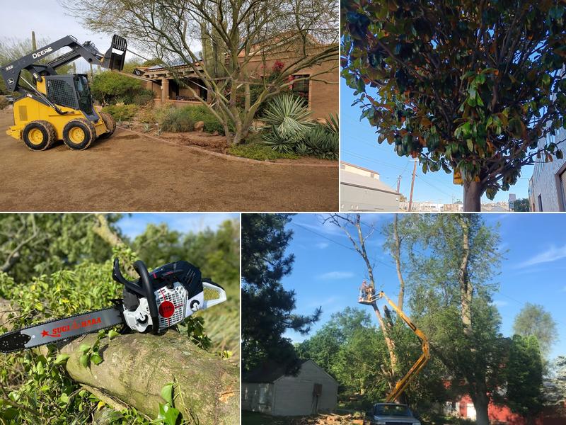 Remedy Tree Removal Service