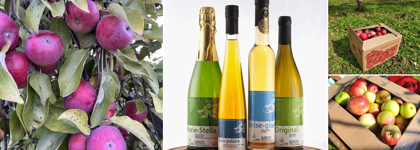 Cidrerie Saint-Antoine