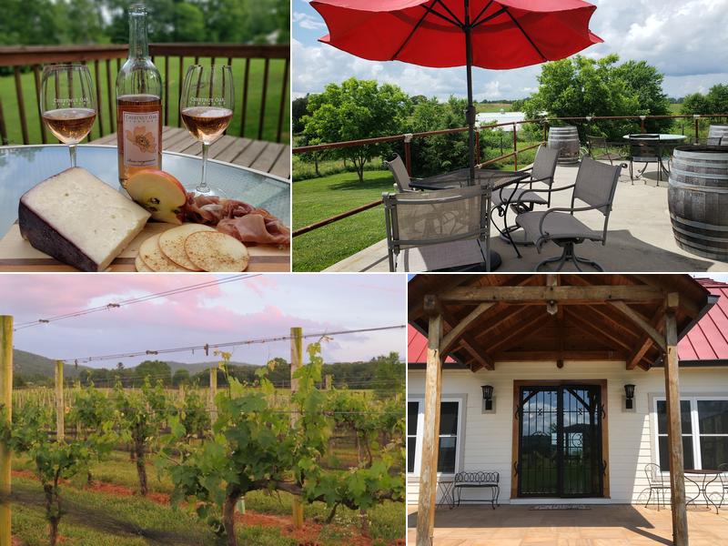 Chestnut Oak Vineyard