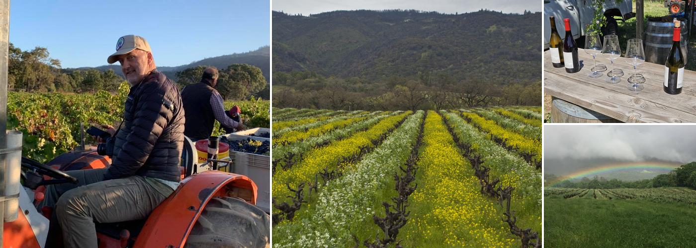 Bucklin Old Hill Ranch Vineyards