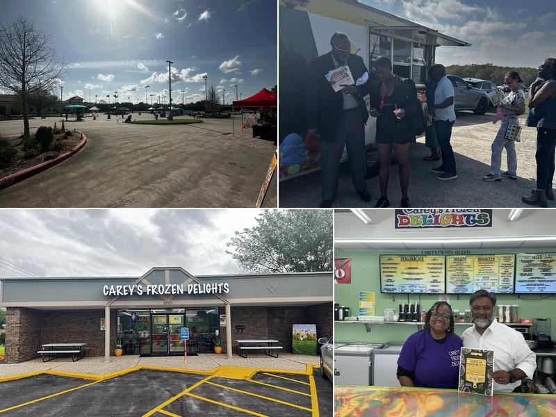 Carey's Frozen Delights