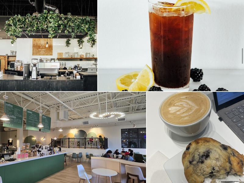 Visible Coffee Roasters Silver Firs