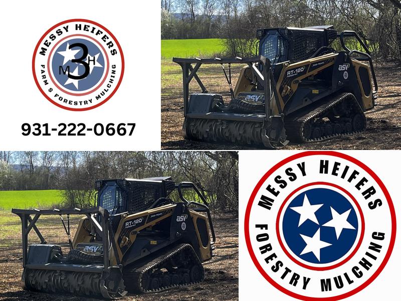 Messy Heifer's Forestry Mulching