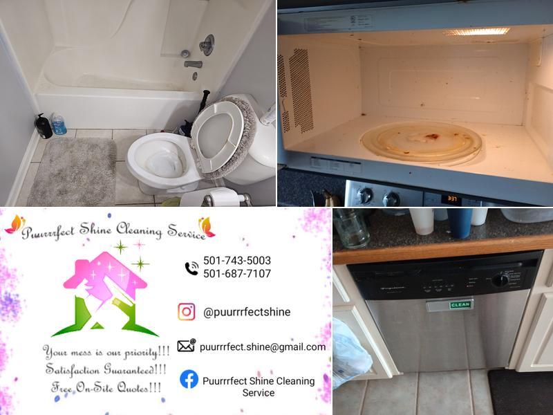 Puurrrfect Shine Cleaning Service