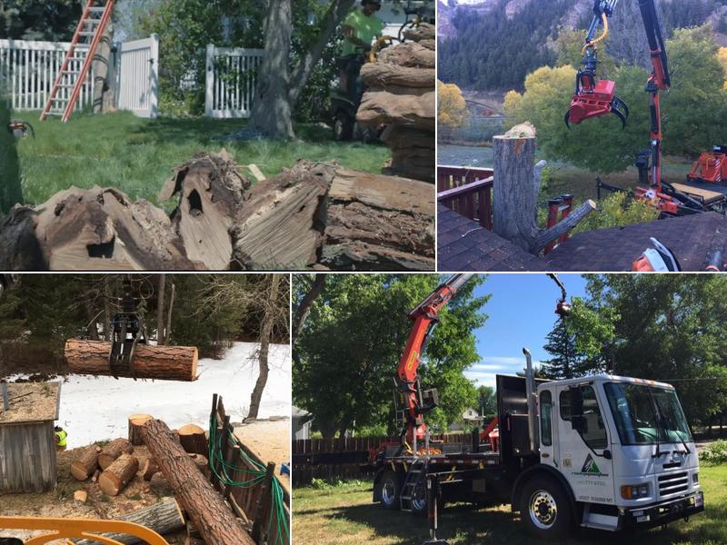 Rocky Mountain Tree Care Specialists, Inc.