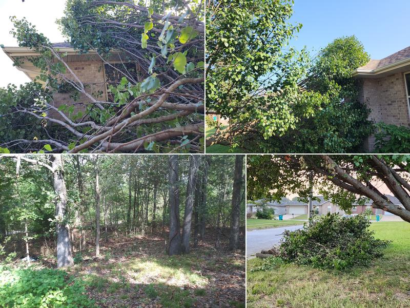 First Call Tree Service LLC