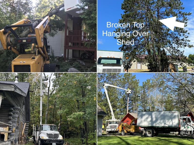 Antigo Arborists Tree Service