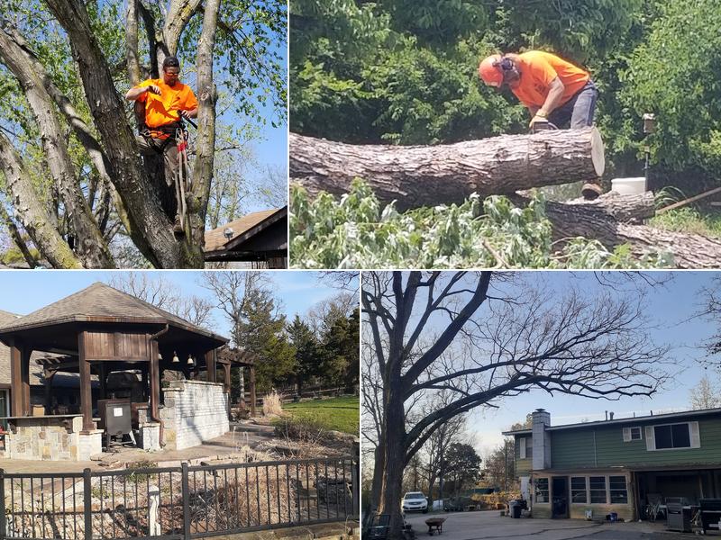 Upper Cuts Tree Services and Stump Grinding, LLC