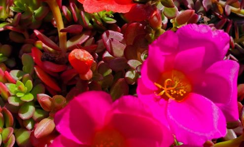 Roark Landscaping Corporation